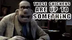 WALL-E: Those chickens are up to something