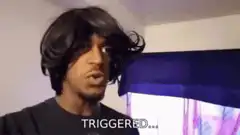 Triggered reaction meme