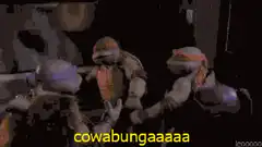 Teenage Mutant Ninja Turtles cowabunga