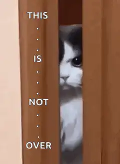 Cat peeking through door with text