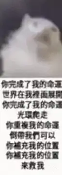 White cat looking up with Chinese text