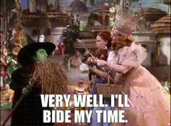 Wicked Witch Bides Her Time
