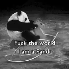 Panda hugging duck Fuck the world I am a Panda
