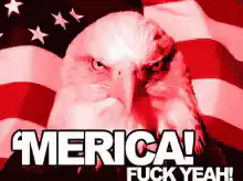 Angry Eagle 'Merica Fuck Yeah