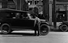 Man stops car with dogs