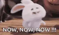 Snowball saying now now now