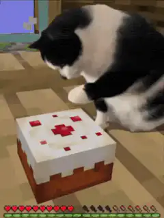 Cat eats Minecraft cake