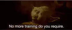 Yoda No more training do you require