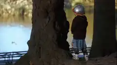 Child in helmet hugs tree