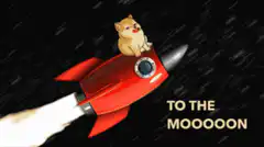 Doge to the moon rocket