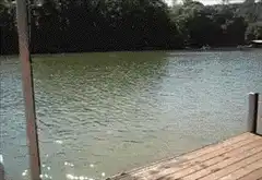 Man jumps off dock into lake