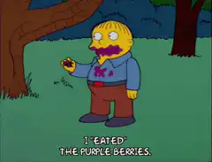 Ralph Wiggum I Eated The Purple Berries