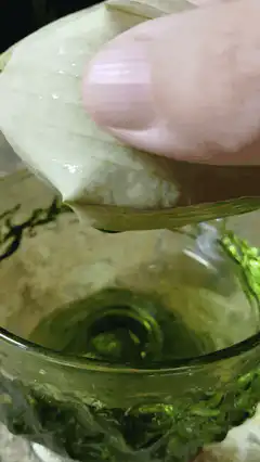 onion slice in green liquid