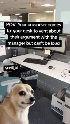 Chihuahua office worker listening