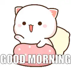 cute cat good morning