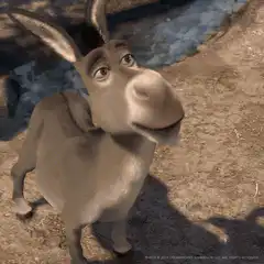 Donkey from Shrek looking up