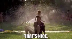 That's Nice Meme