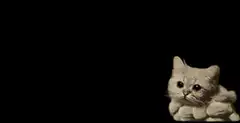 Fluffy cat with cloud body