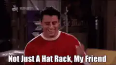 Joey Not Just A Hat Rack