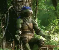 Leonardo meditating in forest