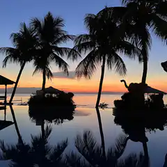 sunset over infinity pool with palm trees