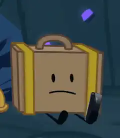 Suitcase drops phone and smiles