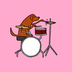 Dog playing drums