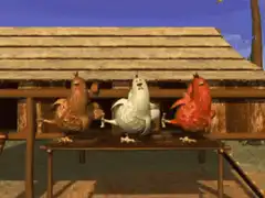 Three chickens dancing on a table