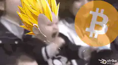 Bitcoin Baby screaming