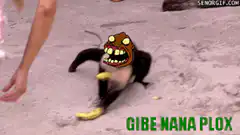 Gibe Nana Plox monkey