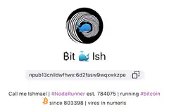 Bit Ish whale logo animation