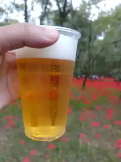 hand holding beer in poppy field