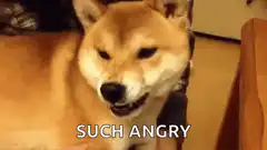 Such Angry Doge