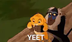 Rafiki yeets Simba