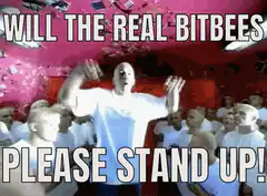 Will the real BitBees please stand up