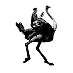 man riding an ostrich