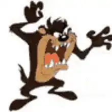 Taz tornado spin
