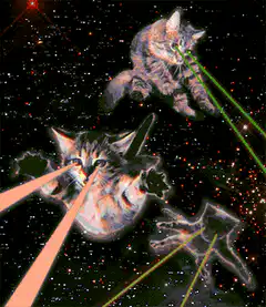 Space cats shooting lasers