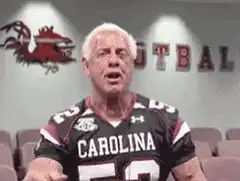 Jimbo Fisher yelling in South Carolina jersey