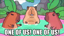 Three Capybaras One of Us