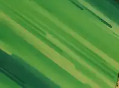 Pikachu sliding and falling