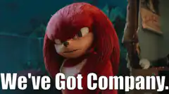 Knuckles We've Got Company