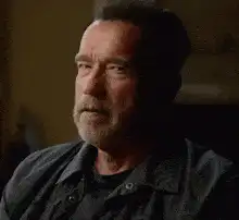 Arnold Schwarzenegger Do It Now