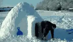 People crawling in and out of an igloo