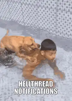 Dog shaking off water on person