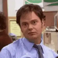 Dwight Schrute confused face
