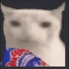Cat eating chips
