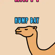 Happy Hump Day Camel Animation