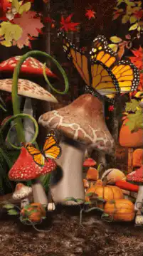 Monarch butterflies on mushrooms in autumn