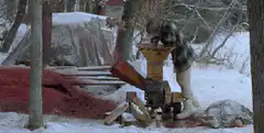 Person feeding wood into a chipper in the snow